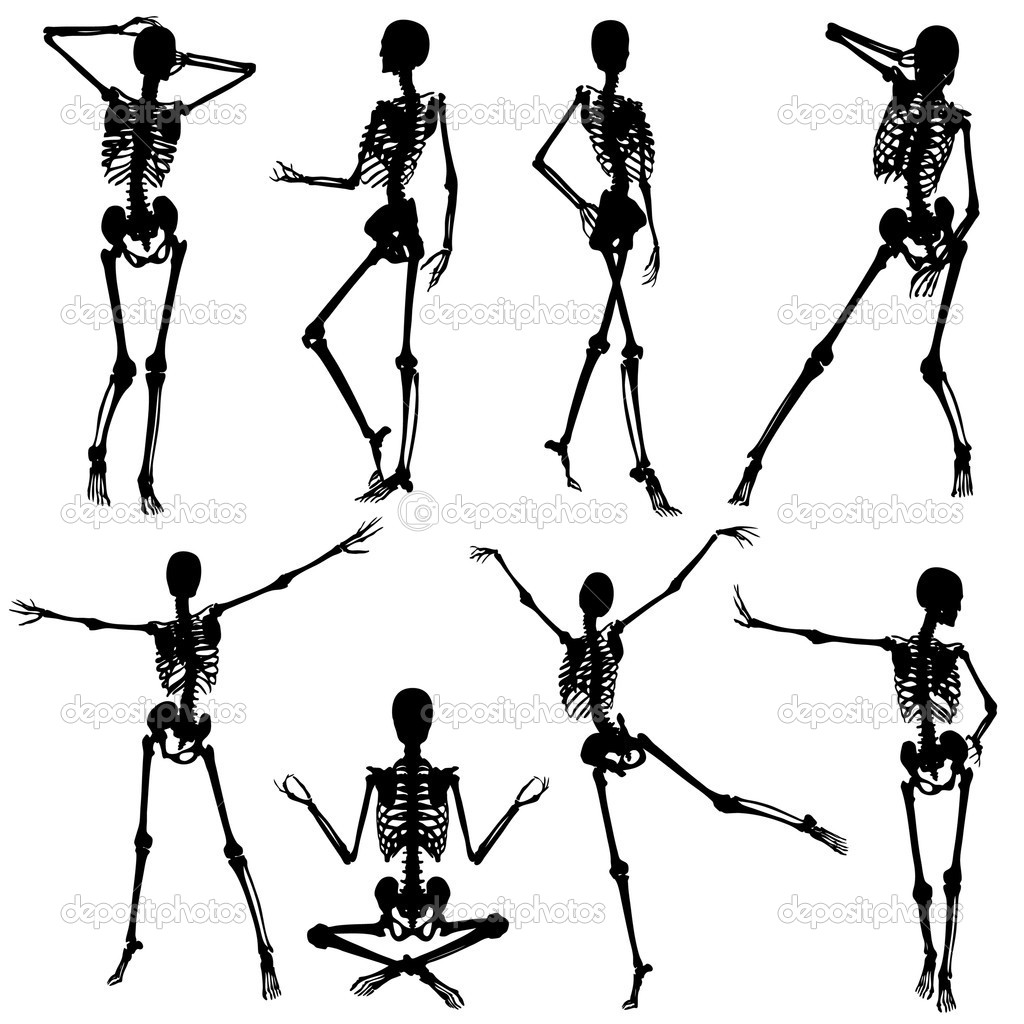 1024x1024 Human Skulltons Of Woman In Poses Halloween Skeleton Silhouette