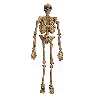 300x300 Realistic Hanging Skeleton 5ft Life Size Halloween