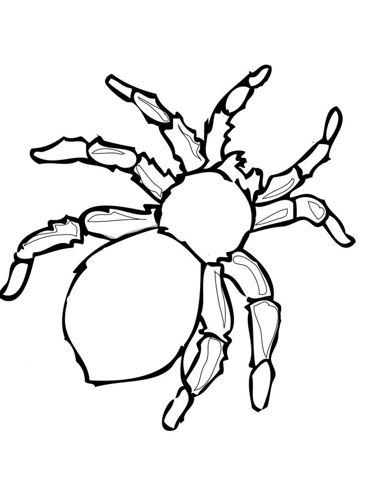 736x952 Best Spider Template Ideas Pumpkin Coloring