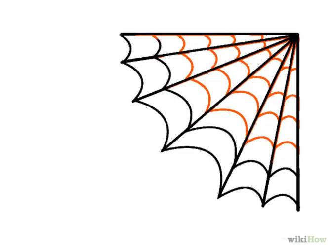 670x503 Spider Web Clipart Easy