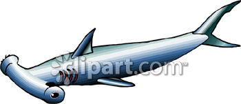 350x151 Hammerhead Shark Clipart Picture