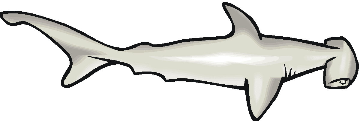 1200x406 Hammerhead Shark Clipart