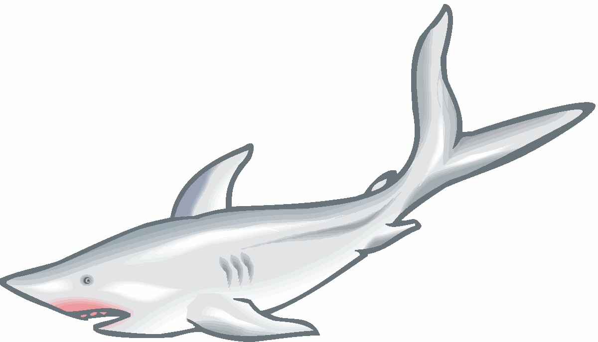1200x687 Hammerhead Clipart Great White Shark