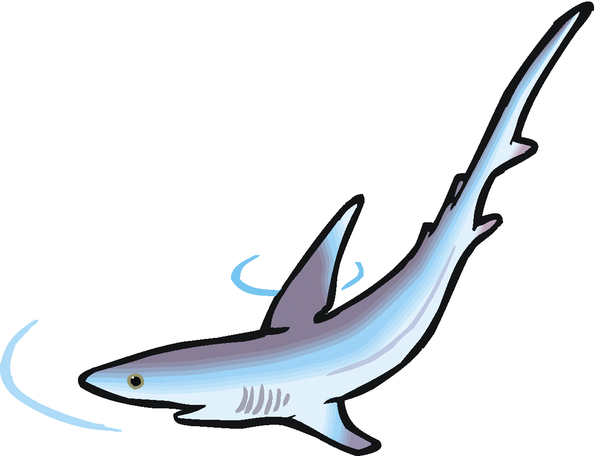 1200x919 Top 90 Shark Clip Art