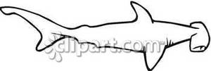 300x101 Hammerhead Shark Outline Royalty Free Clipart Picture