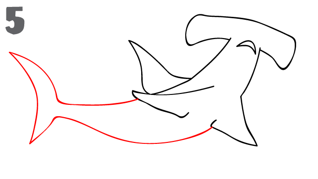 642x362 How To Draw A Hammerhead Shark