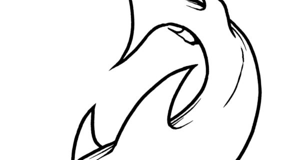570x320 Outline Drawing Of A Shark Shark Outline