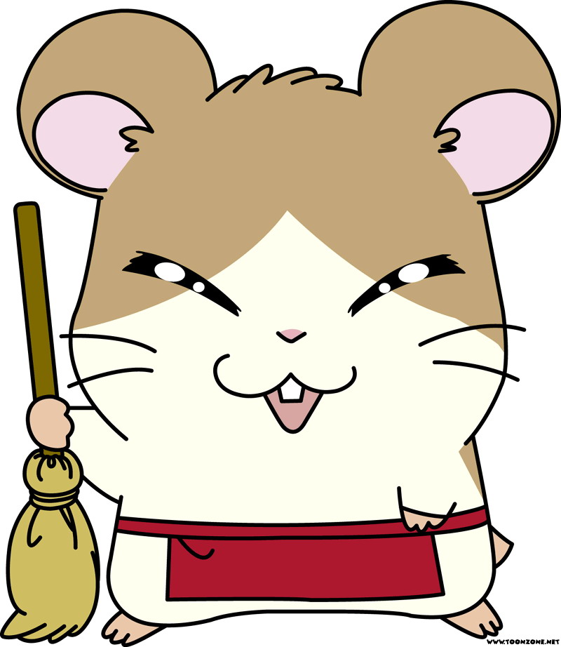800x922 Hamster Clip Art