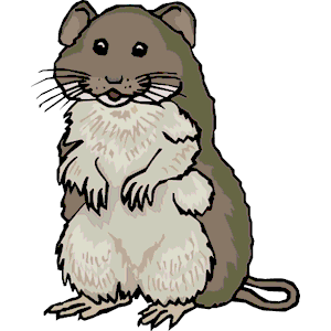 300x300 Hamster Clip Art
