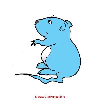 400x400 Hamster Clipart Pictures Clipart Panda