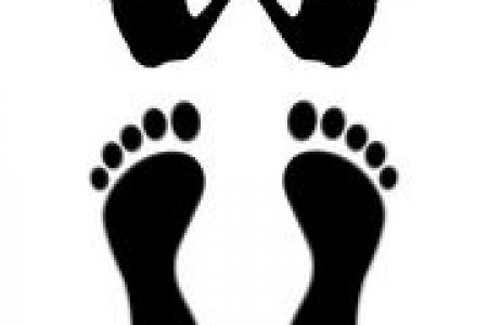 Hands And Feet Clipart | Free download on ClipArtMag