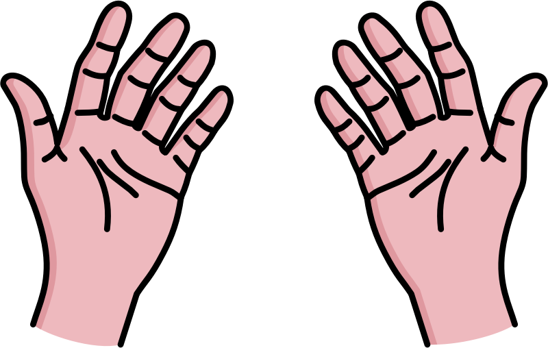 800x508 Hands Free To Use Clip Art