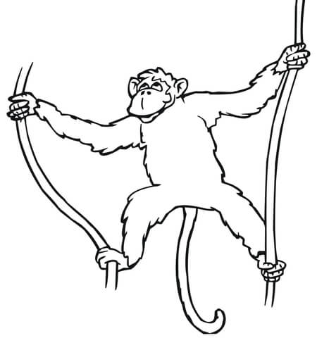 450x480 Monkey Hanging On Liana Coloring Page Free Printable Coloring Pages