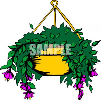 350x346 Flowering House Plant In A Hanging Planter