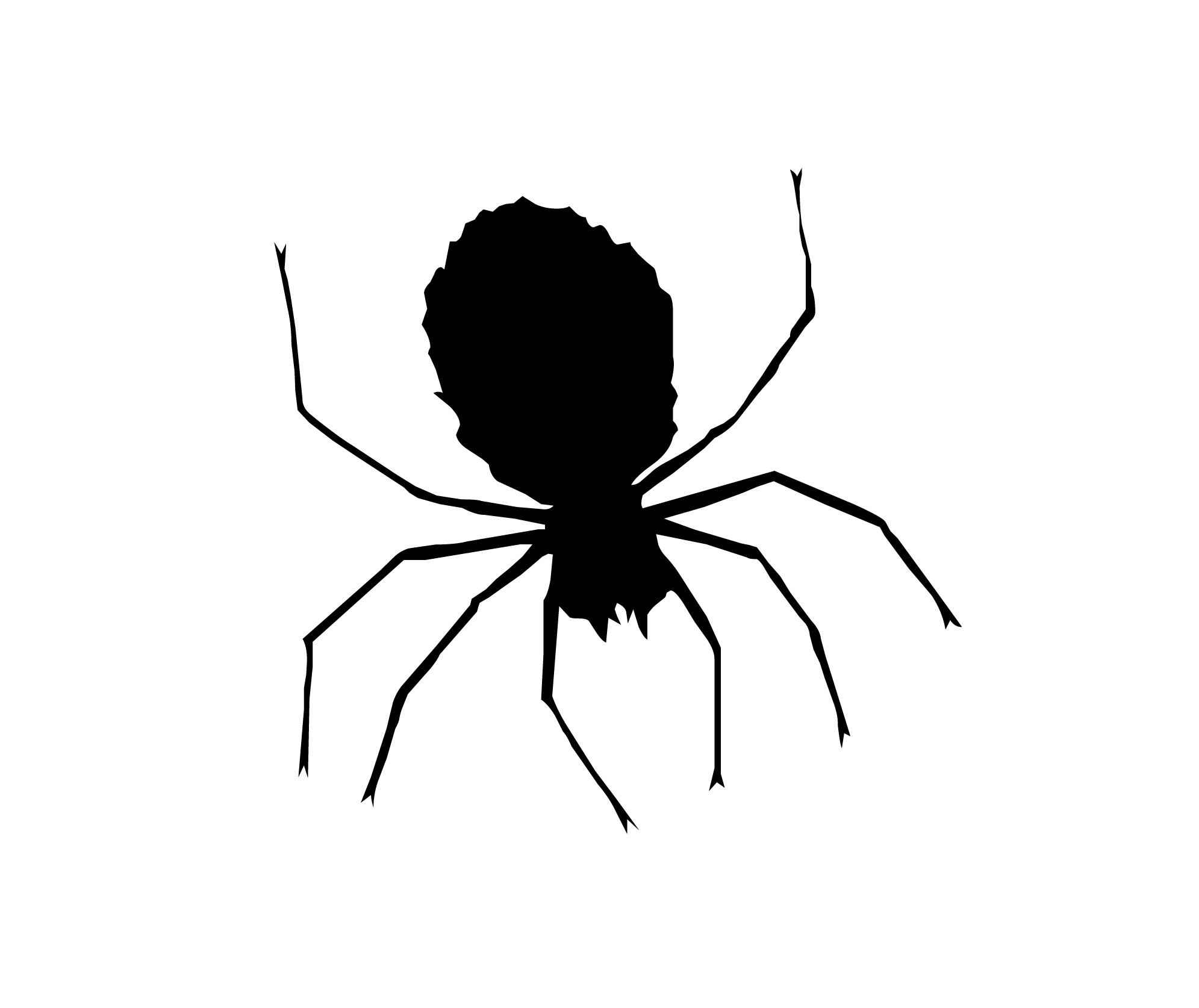 1991x1674 Spider Clipart Simple