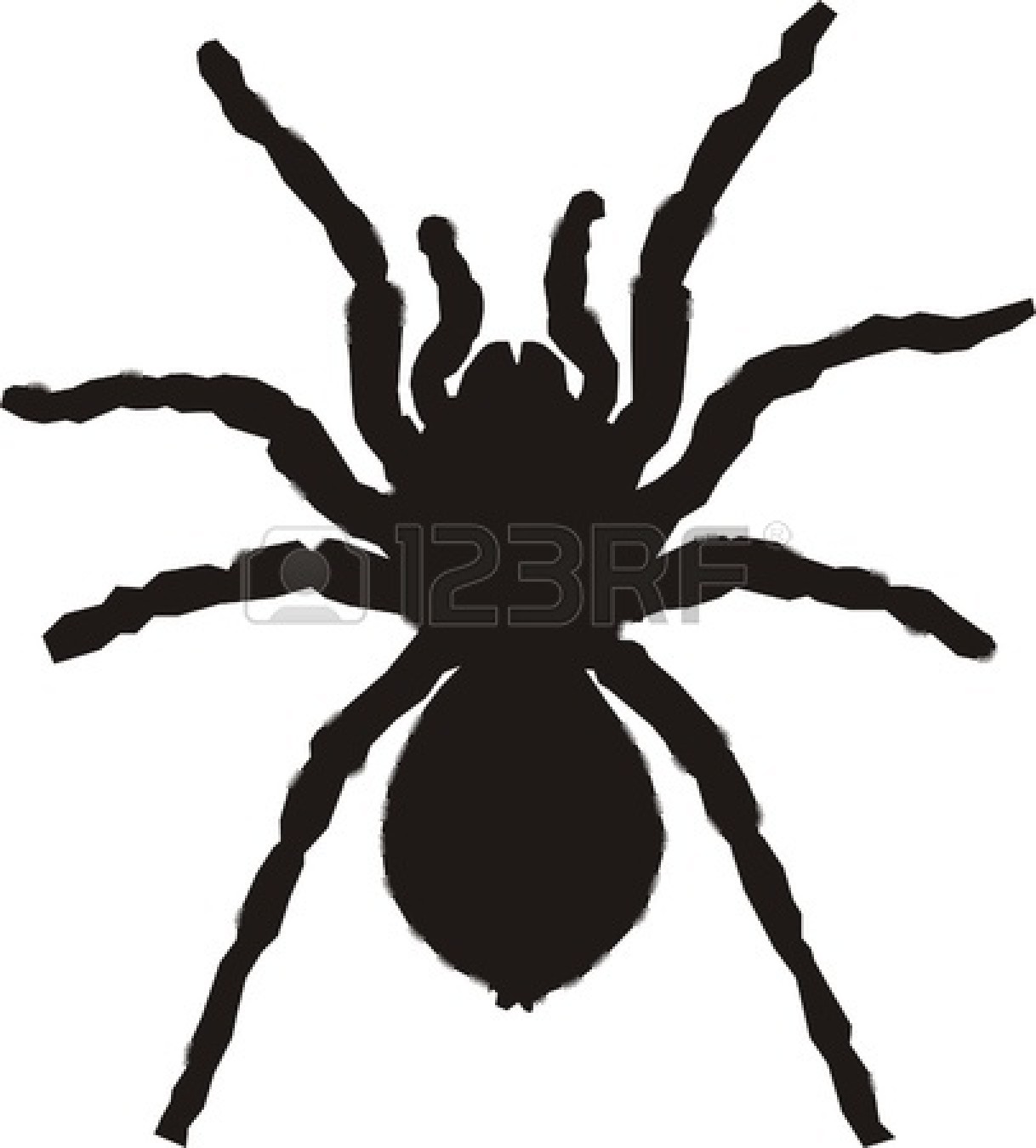 1218x1350 Spider Silhouette Clip Art Clipart