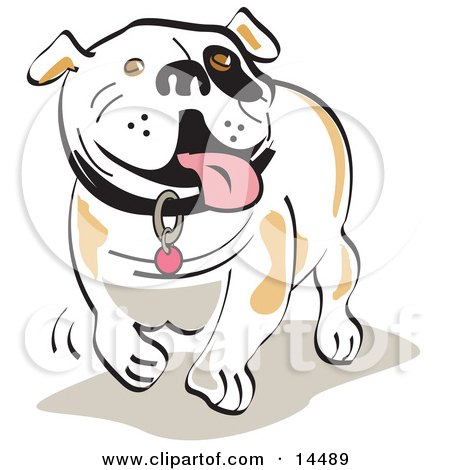 450x470 Cartoon Of A Brown And White Bulldog