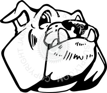 361x315 Bulldog Head