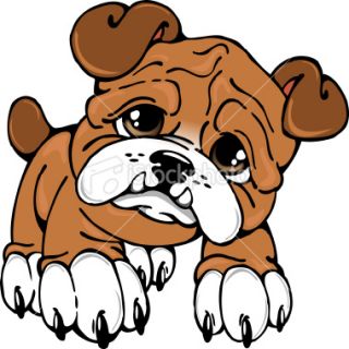 320x320 Bulldog Clipart Bulldog Puppy