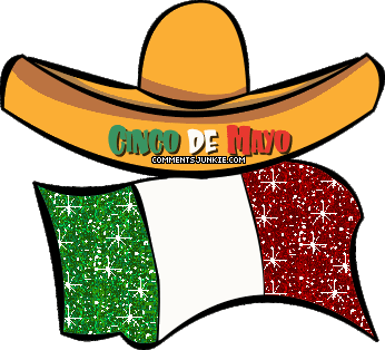 346x314 Hey It Amlost Cinco De Mayo Here Is A Gif