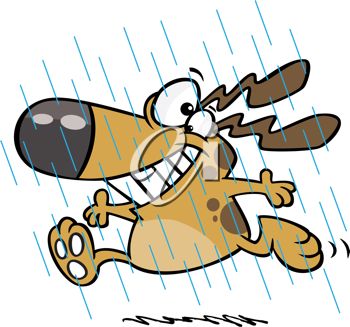 350x327 Picture Of A Happy Dog Frolickly Running In The Rain In A Vector