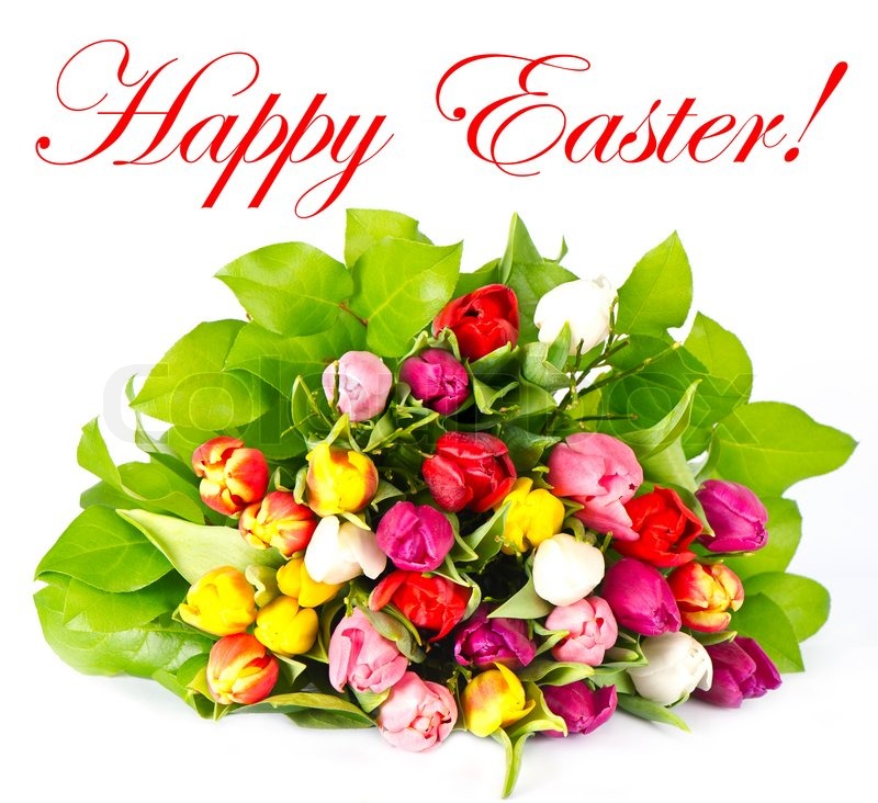 800x732 Easter Flowers High Definition Images Free Download