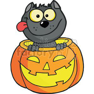 300x300 Royalty Free Happy Halloween Pumpkin With A Happy Black Cat Inside
