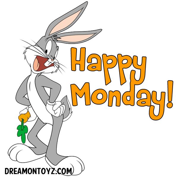 600x600 517 Best Monday Images Friends, Butterfly