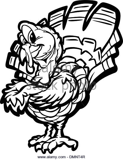 415x540 Turkey Bird Black And White Stock Photos Amp Images