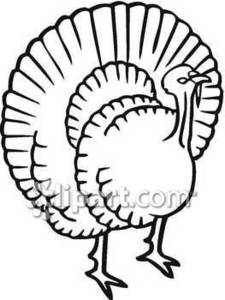 225x300 Black And White Clipart Of A Turkey