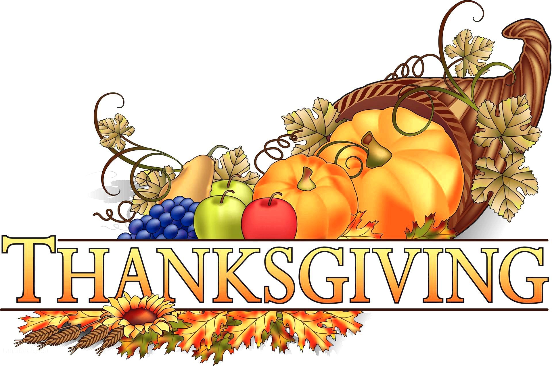 1920x1275 Happy Thanksgiving Day Images Pictures Hd Wallpapers 2016 Happy