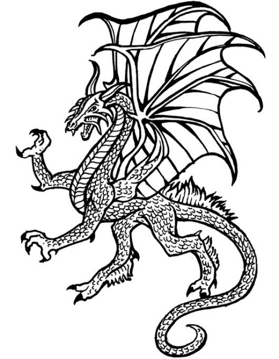 567x730 Hard Coloring Pages Of Dragons