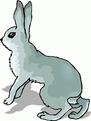 180x240 Hare Clip Art Free Clipart Panda