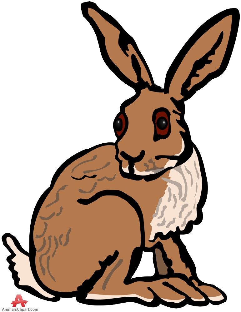 771x999 Rabbit Clipart Free Clipart Design Download