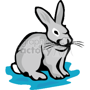 300x300 Royalty Free Outlined Grey Rabbit 133296 Vector Clip Art Image