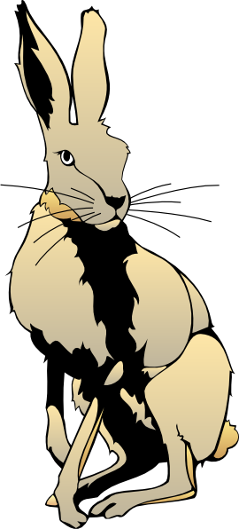 270x596 Hare Rabbit Clip Art Vector Clipart Panda