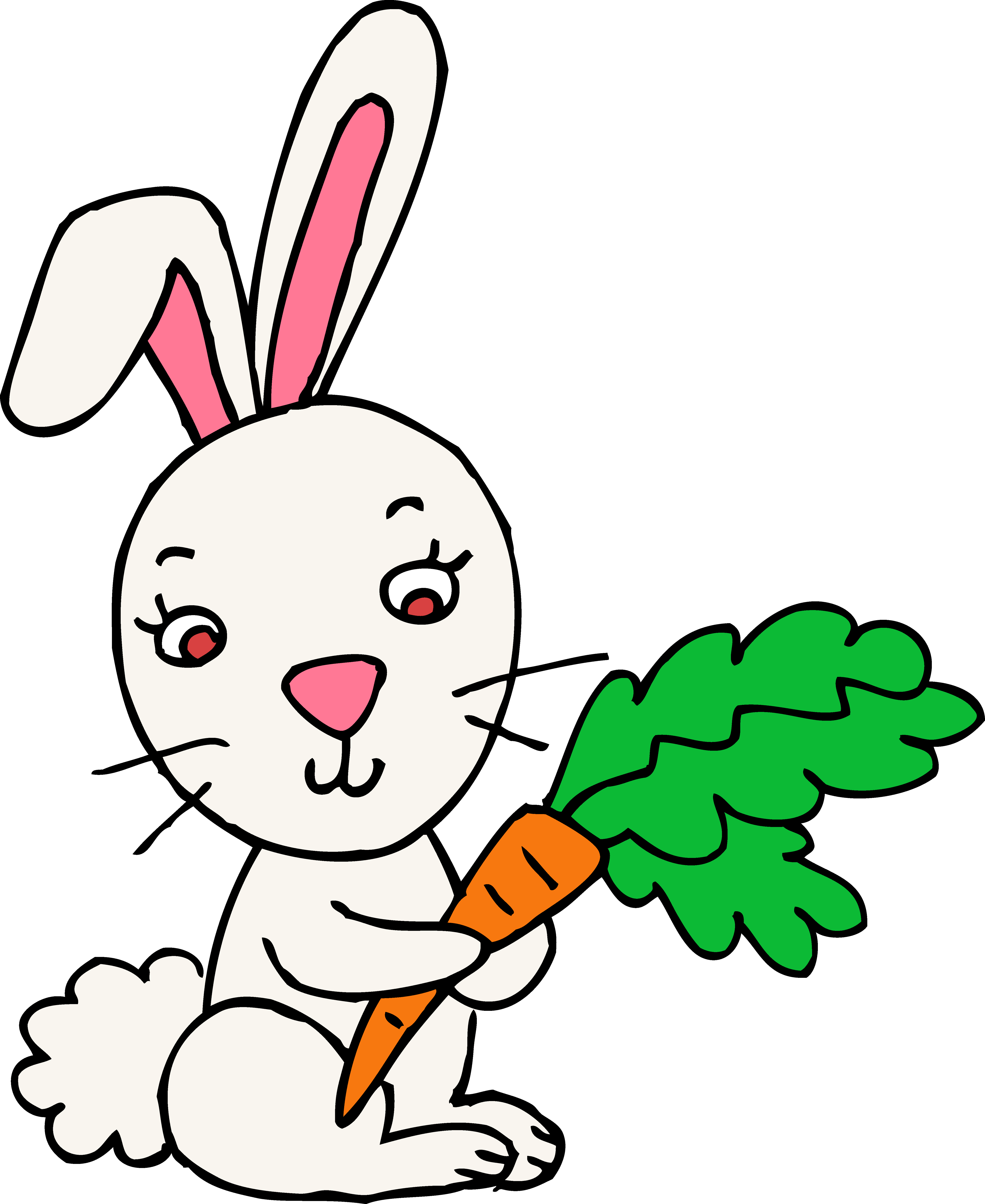 5016x6134 Rabbit Clipart Many Interesting Cliparts