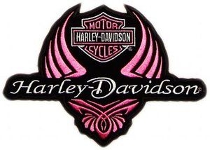 300x214 Harley Davidson Logo Clipart