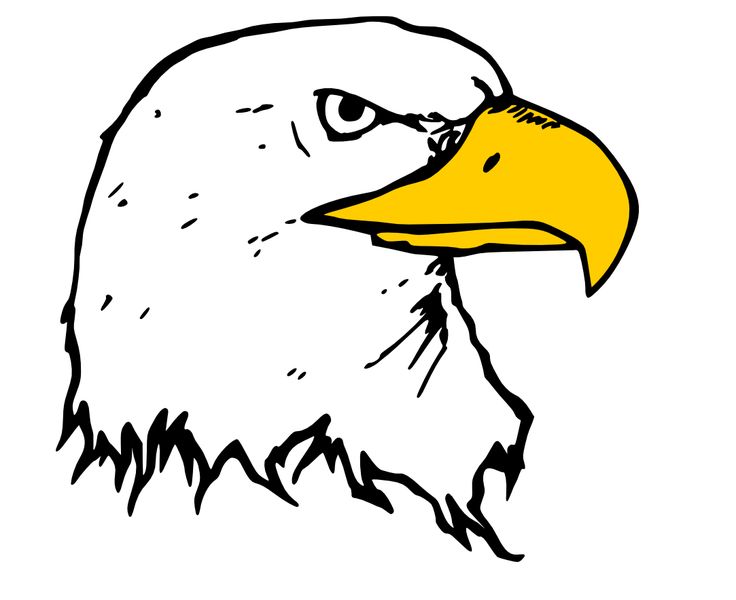 736x600 Bald Eagle Clipart Harley Davidson