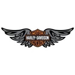 250x250 86 Best Sturgis! Images Artist, Biker Girl And Breeze