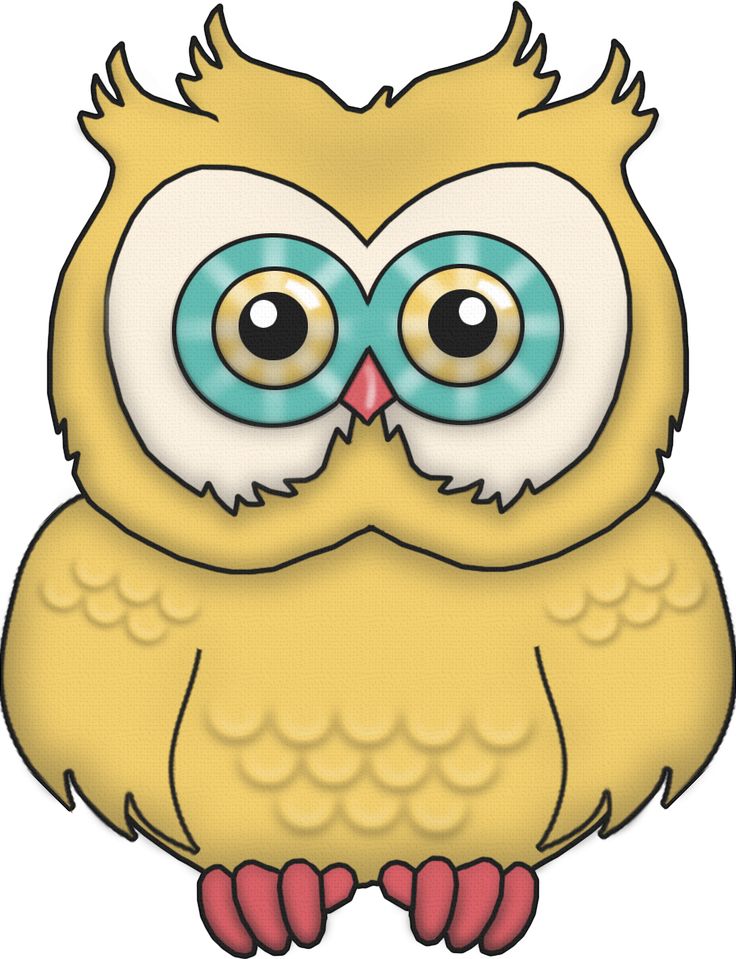 736x959 193 Best Owl