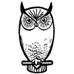 250x250 The Best Simple Owl Drawing Ideas Bird Drawings
