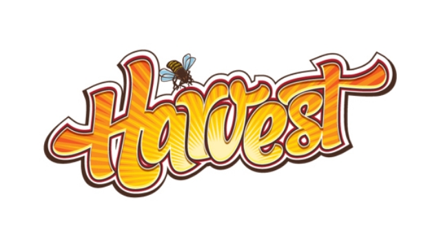 640x360 Aj Maddah Confirms Harvest Festival Won'T Happen In 2014