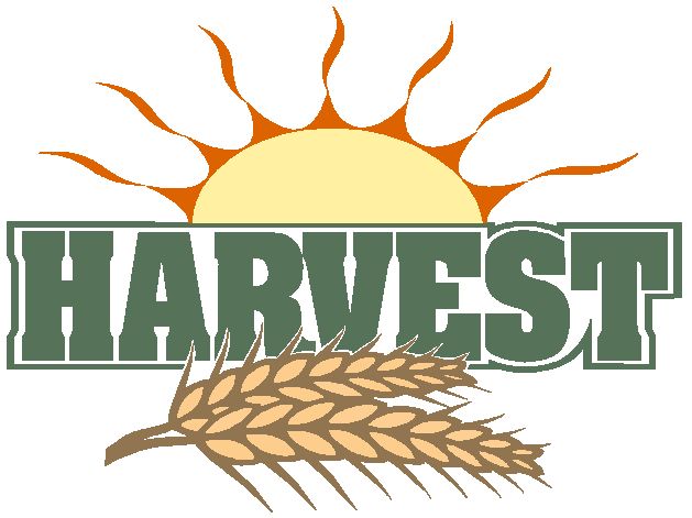 629x471 Harvest Clipart