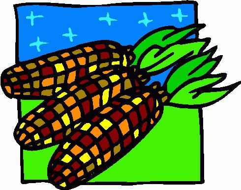 490x386 Harvest Corn Clipart, Explore Pictures