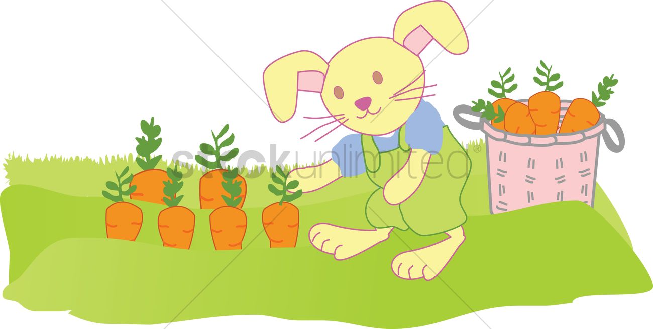 1300x655 Free A Rabbit Harvesting Carrots Vector Image