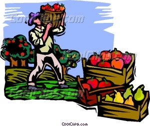 300x253 Harvesting Crops Clipart