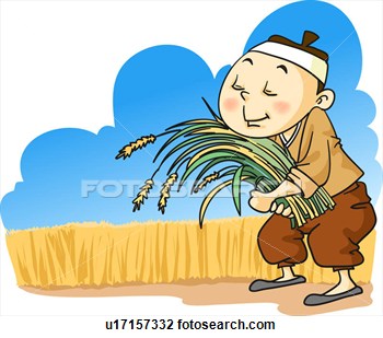 350x309 Rice Clipart Harvesting Rice