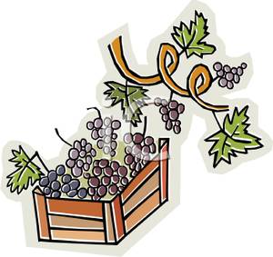 300x283 Basket Clipart Harvest Basket