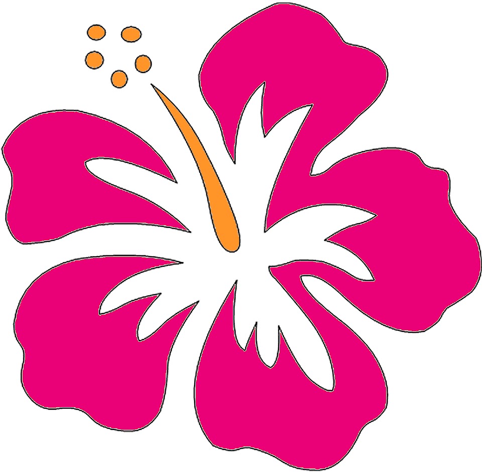 960x939 Hawaiian Flowers Clipart Biezumd